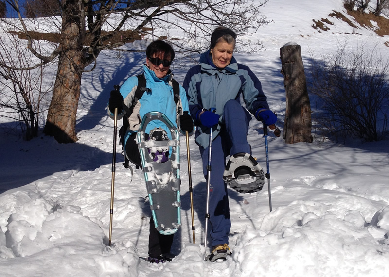 Schneeschuhwanderungen